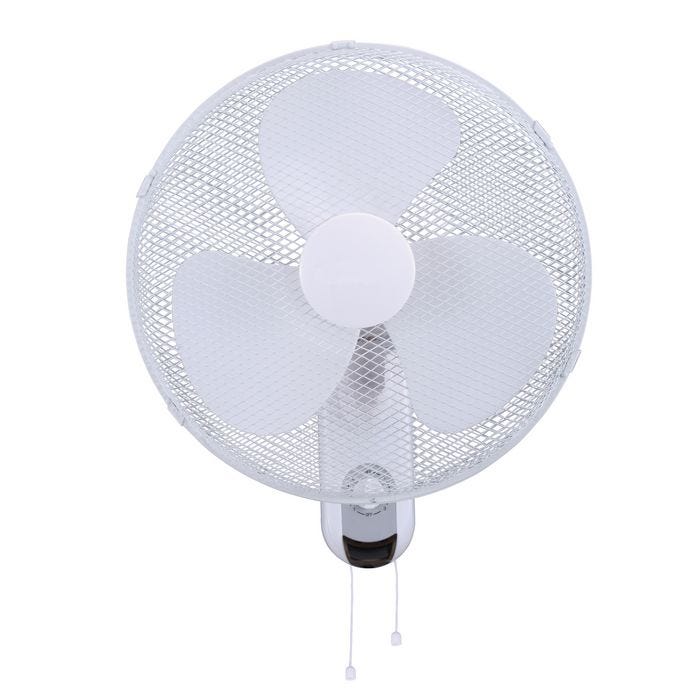 Wall mounted fan