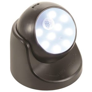 Security light with motion sensor