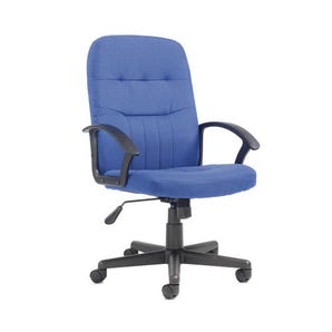Fabric managers chair